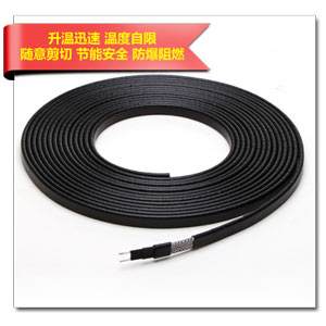 邦達(dá)產(chǎn)防腐型DWL JF2自限溫山東電伴熱帶