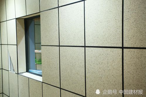 從涂料生產(chǎn)商到系統(tǒng)服務(wù)商 創(chuàng)新開(kāi)拓差異化道路