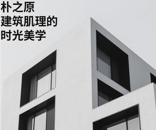 新型混凝土裝飾板材 重構(gòu)建筑的文化詩學(xué)