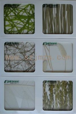 供應專業(yè)研發(fā)生產(chǎn)透光雅麗板裝飾材料_建筑建材_世界工廠網(wǎng)中國產(chǎn)品信息庫